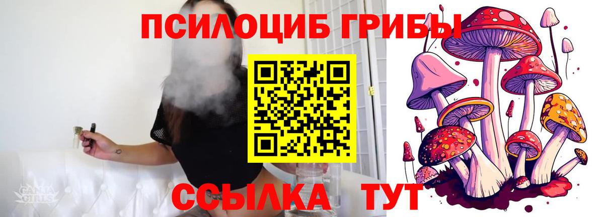 Псилоцибиновые грибы ЛСД  Вход с VPN  купить закладку  Анжеро-Судженск  Галлюциногенные грибы GOLDEN TEACHER 