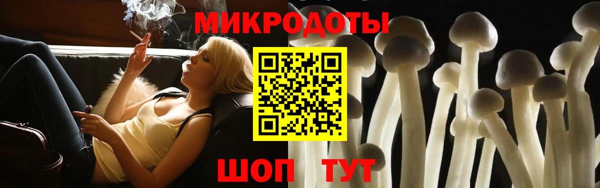 Псилоцибиновые грибы GOLDEN TEACHER Анжеро-Судженск