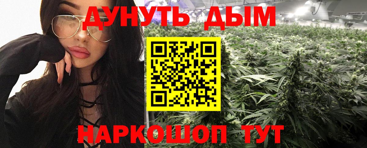 Бошки марихуана Ganja  Бошки Шишки план  Бошки марихуана Amnesia  МАРИХУАНА Amnesia  Вход с VPN  Анжеро-Судженск 